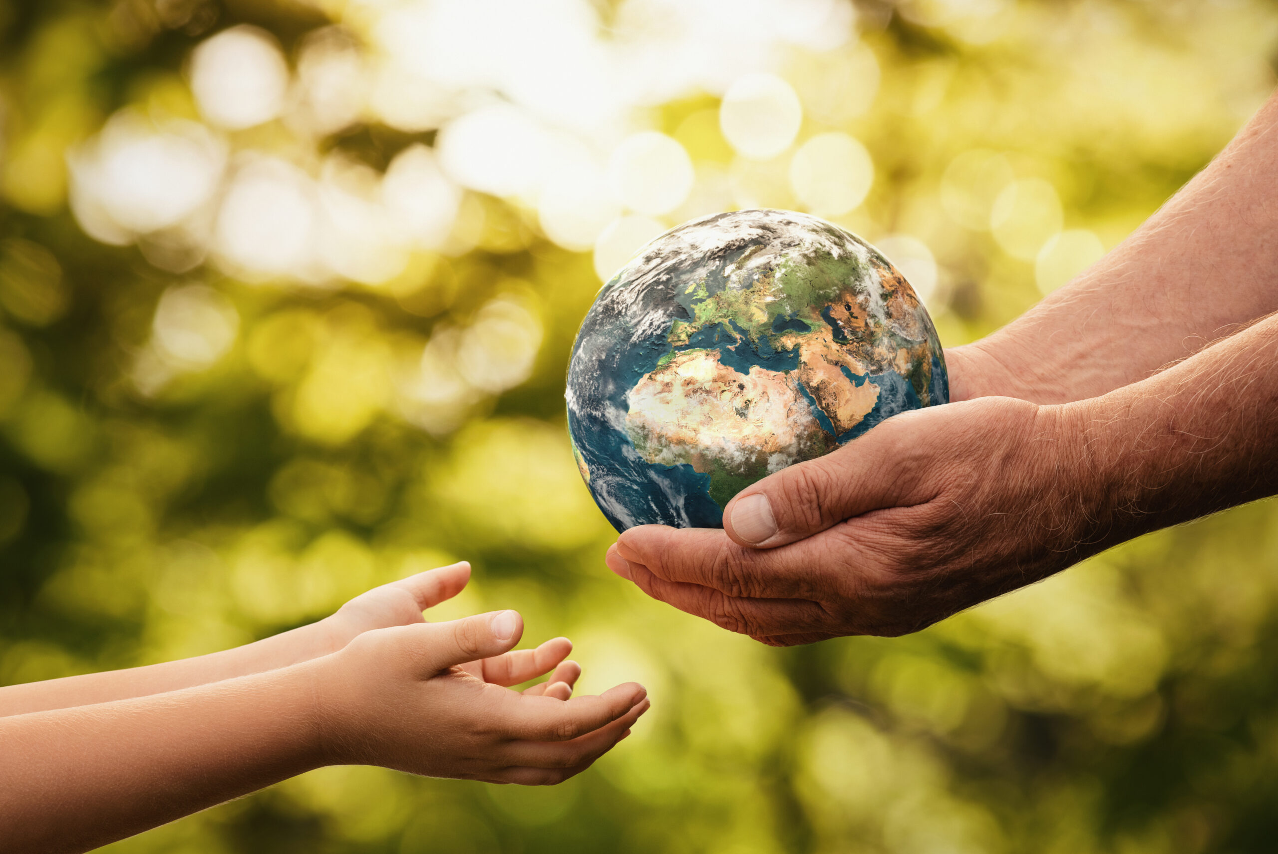 Un futuro más verde es posible: hablemos de la sostenibilidad 