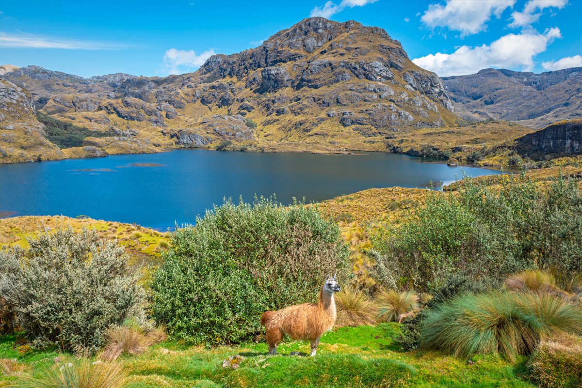 Un feriado para descubrir 5 destinos mágicos del Ecuador