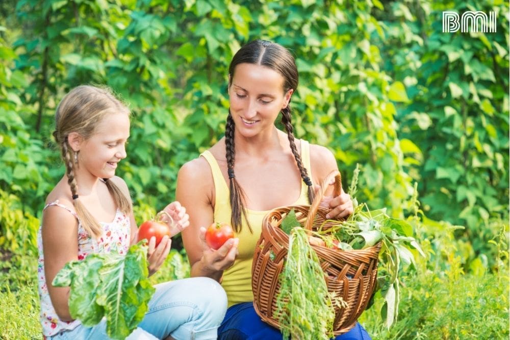 ¿Qué diferencia existe entre orgánico, biológico y ecológico?