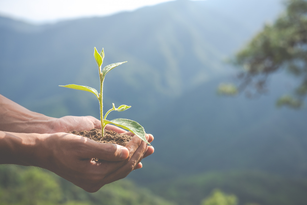Acciones simples para disminuir tu huella de carbono personal y combatir el cambio climático