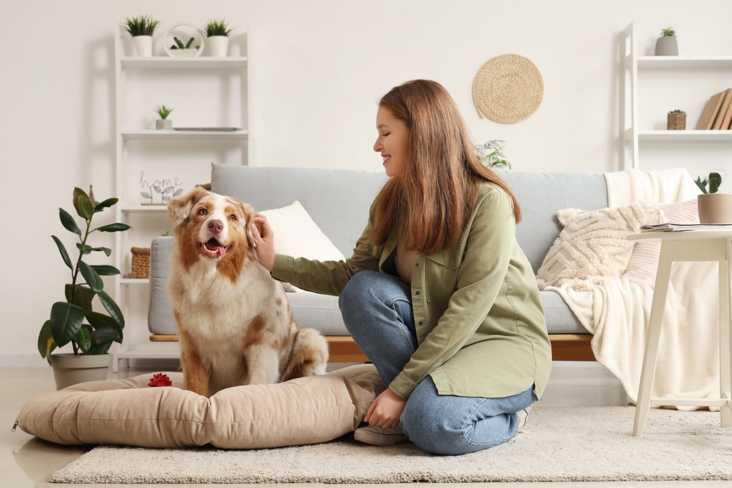 ¿Cuál es el impacto positivo del mejor amigo del hombre en su vida? 