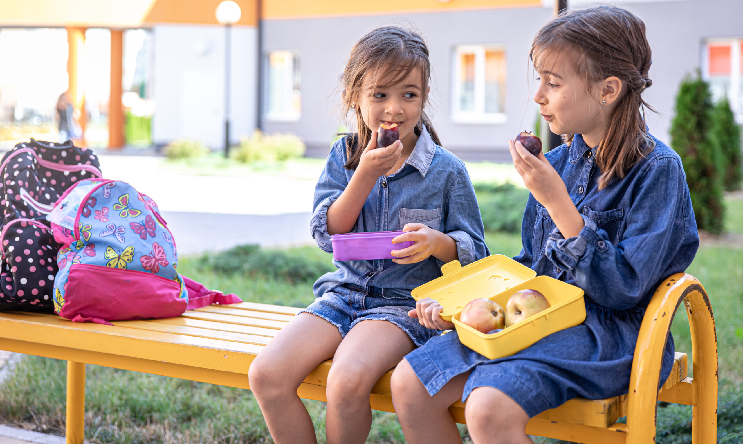 Principales nutrientes para preparar un lunch infantil saludable