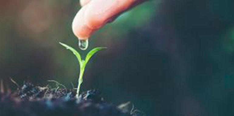 Es momento de unirnos para conservar y cuidar el agua