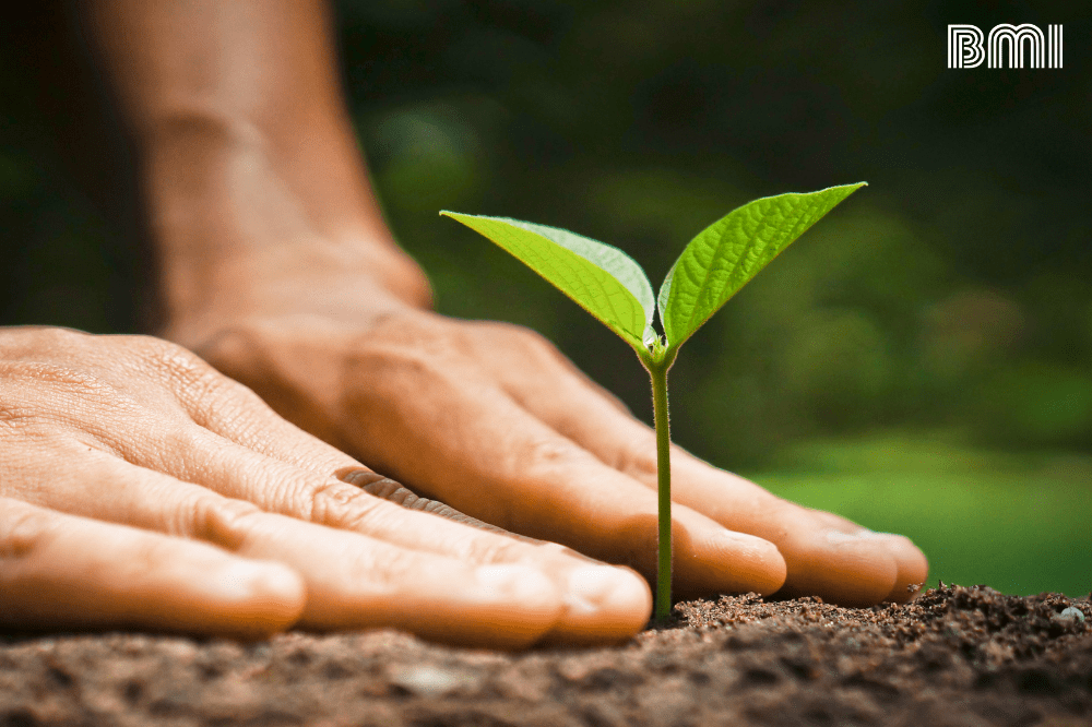 7 BENEFICIOS DE TENER CONTACTO CON LA NATURALEZA