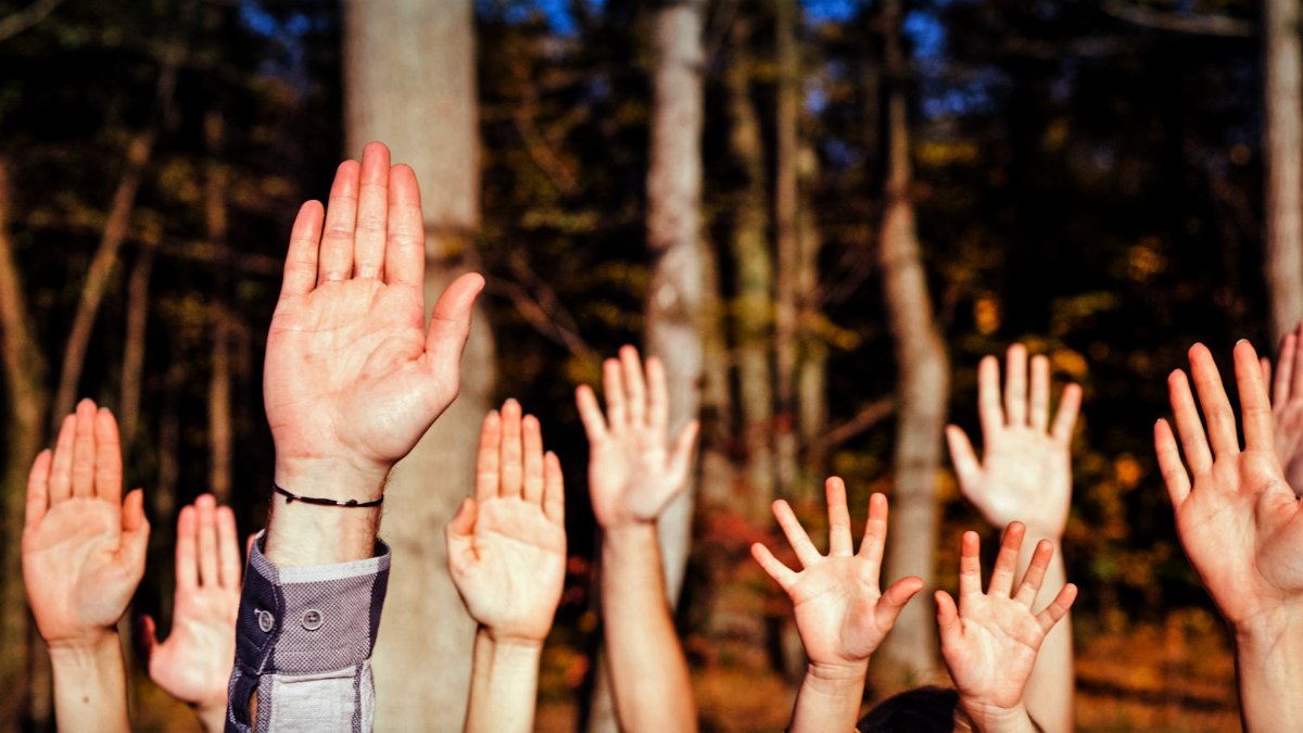 Descubre como transformar vidas a través del voluntariado